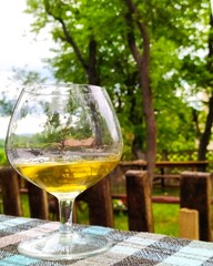 glass of wine