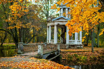 Old damaged cofee pavillion an autumn