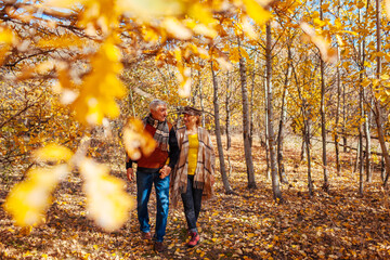 Fall season activities. Senior couple walking in autumn park. Retired man and woman holding hands...