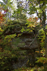 Bizarre stone outliers of the Kamenny Gorod tract (Gremyachinsky district, Perm Territory)