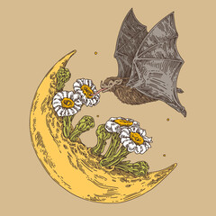 Sketch tattoo. Moon with flowers and flying bat. Color. Engraving style. Vector illustration.