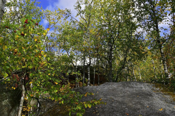 Sandstone massif at the top of the Rudyansky Spoi ridge in the Kamenny Gorod tract