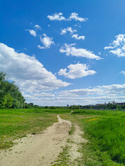 Beautiful view of the path in the park, green grass, blue sky with white clouds on a sunny warm day