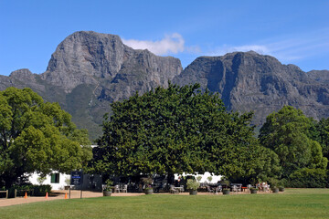 Fototapeta na wymiar Vinicola em Stellenboch. Cidade do Cabo. África do Sul.
