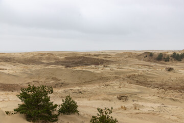 View of sand dunes of Curonian Spit, Kurshskaya Kosa National Park, Curonian Lagoon and the Baltic Sea, Kaliningrad, Russia