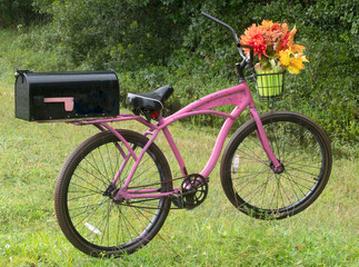 bicycle in the garden