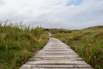 Boardwalk through the dunes in Lille Norge in Saltum in Denmark