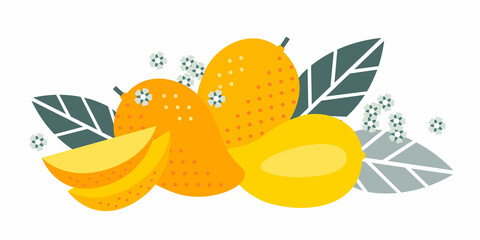 Mango tropical exotic fruit. Flat illustration. Whole and half cut with lobules, leaves and flowers.