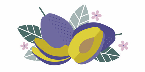 Plum fruits. Flat illustration. Whole and cut fruits, leaves, plum pits and flowers.