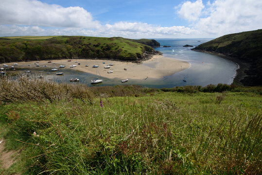 View overlooking Solva, Pembrokeshire.
