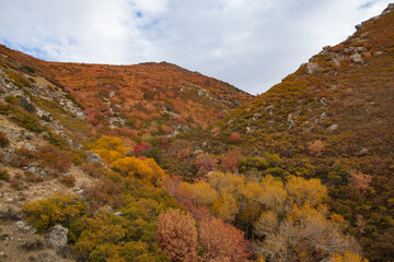 Bear Canyon hiking trail, Utah