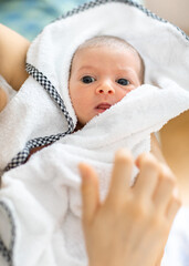 Parent holding cute newborn baby in arms. 