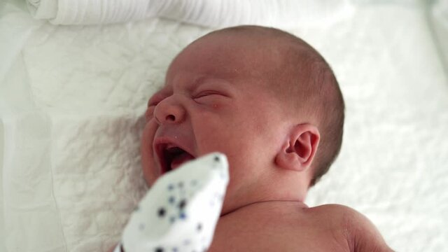 Naked Newborn Baby Red Face Portrait Acne Allergic Irritations Early Days Crying On White Background. Child At Start Minutes Of Life. Infants, Childbirth, First Moments Of Borning, Beginning Concept