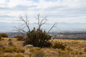 Obraz premium View from Bear Canyon hiking trail, Utah