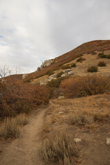 Bear Canyon hiking trail, Utah