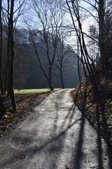Dolina Prądnika, Ojcowski Park Narodowy, 