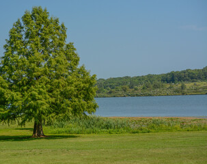The landscape of Shabbona Lake State Park in Dekalb County, Illinois