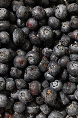 blueberries close up