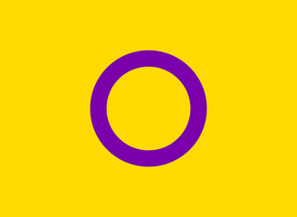 LGBTQ + Intersex Flag for the rights of pride and sexuality Vector