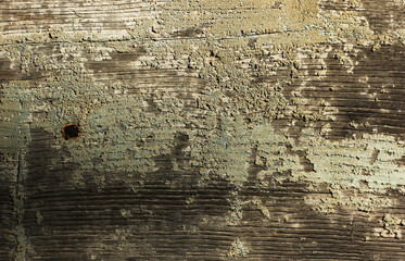 wooden background with traces of destruction of wood and with moss 