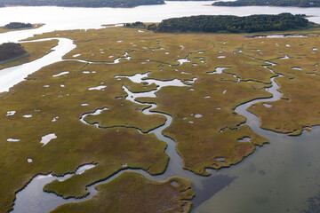 Narrow channels meander through a salt marsh in Pleasant Bay, Cape Cod, Massachusetts. This type of...
