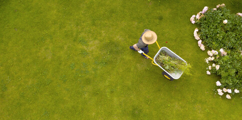 A professional gardener is carrying a wheelbarrow full of grass
