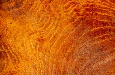 Nature pattern of teak wood texture for background