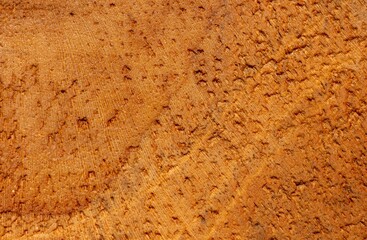 Nature pattern of teak wood surface for background