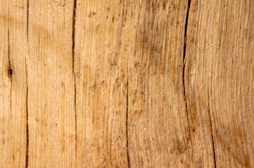 The surface of an old wood for natural background, in shallow focus