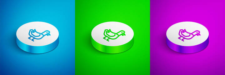 Isometric line Dove icon isolated on blue, green and purple background. White circle button. Vector