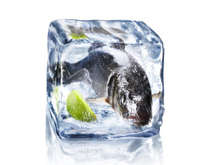 Whole fish frozen in ice cube with lime isolated on white background with clipping path.