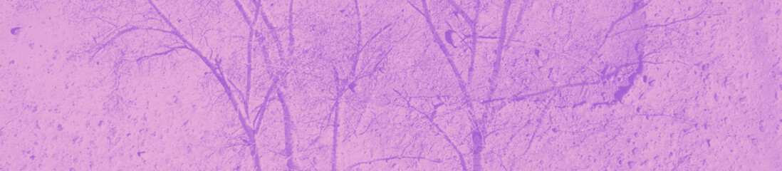 abstract violet, pink and purple colors background for design