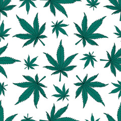 Cannabis pattern.hemp leaves on a white background