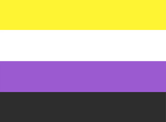 LGBTQ + Non-Binary Flag for the rights of pride and sexuality Vector
