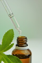 Stevia rebaudiana branch and bottle with stevia extract on blurred background. Stevia...