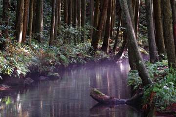 朝の牛渡川。
鳥海山の湧水からなる冷たい朝の川には湯気が沸き立ちます。山形県遊佐町