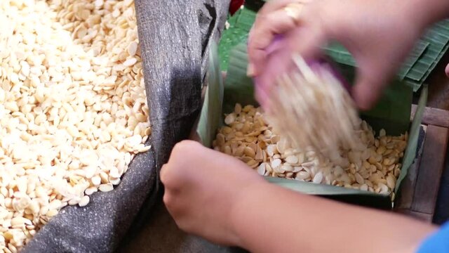 Hand of Indonesian women packing soybeans to banana leaves, javanese traditional tempeh preparation. Wrapping soybeans for fermentation.