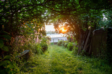 Sunrise on the way to the river in trees