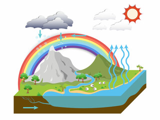 the water cycle illustration infographic, Natural phenomena in the meadow with rainbow. vector esp10