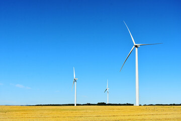 Fototapeta premium A image of tall wind turbines in an agricultural field a harvest time. 