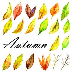 Autumn watercolor background set of yellow brown leaves