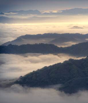 Fog in the hills of Silicon Valley, California