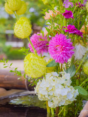 【花手水】秋に向けた華やかな花々