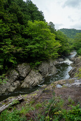 Fototapeta na wymiar foggy river of the Ohata river.located at shimokitahanto in Aomori perf.landscape of Japan