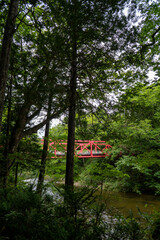 foggy river of the Ohata river.located at shimokitahanto in Aomori perf.landscape of Japan