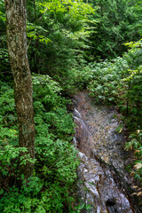 foggy river of the Ohata river.located at shimokitahanto in Aomori perf.landscape of Japan