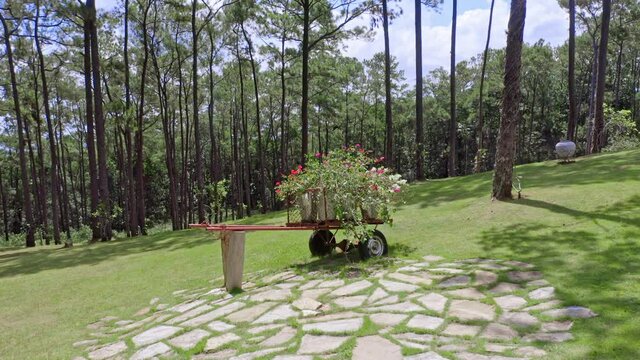 Beautiful Lush Forest Trees Landscape View From Outdoor Garden Lawn At Jarabacoa, Dominican Republic. - Forward Shot