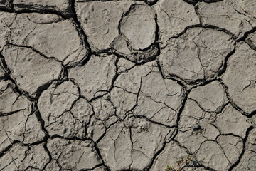 Dry cracked earth 