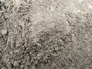 concrete soil texture