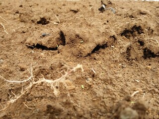 soil in the ground good for design and background